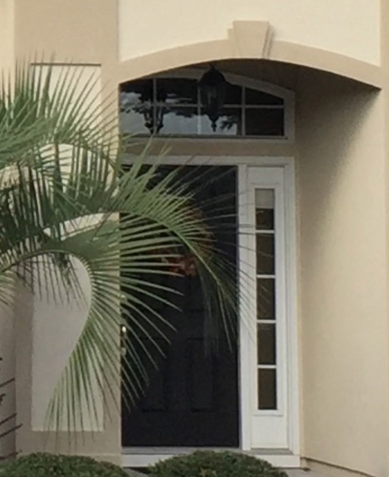 Front door wood finish: before